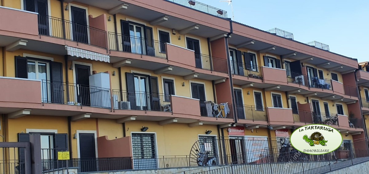 Appartamento ACI CATENA vendita  Aci Catena  La Tartaruga Immobiliare
