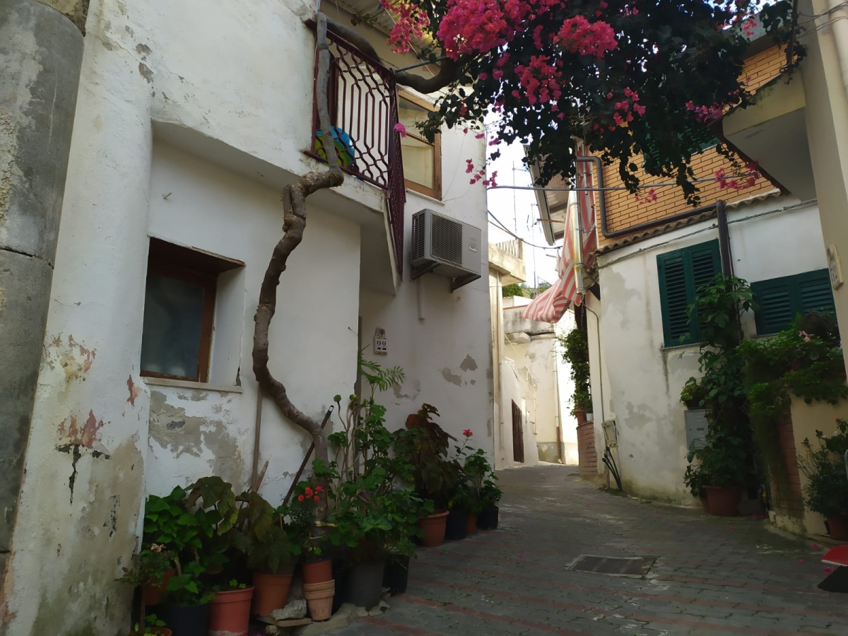  savoca vendita quart: rina la tartaruga immobiliare